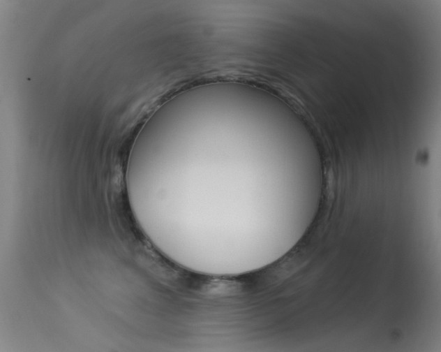 X0000113530617200909181001
