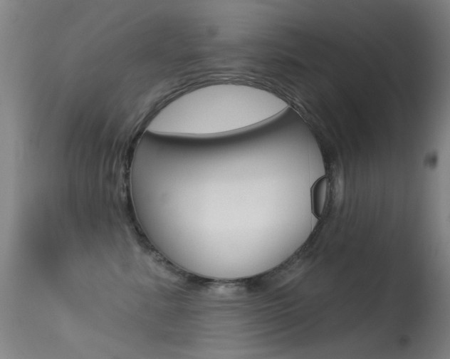 X0000113530619200909181001