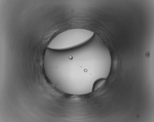 X0000113530620200909181001