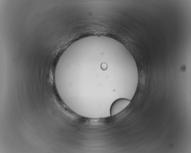 X0000113530622200909181001