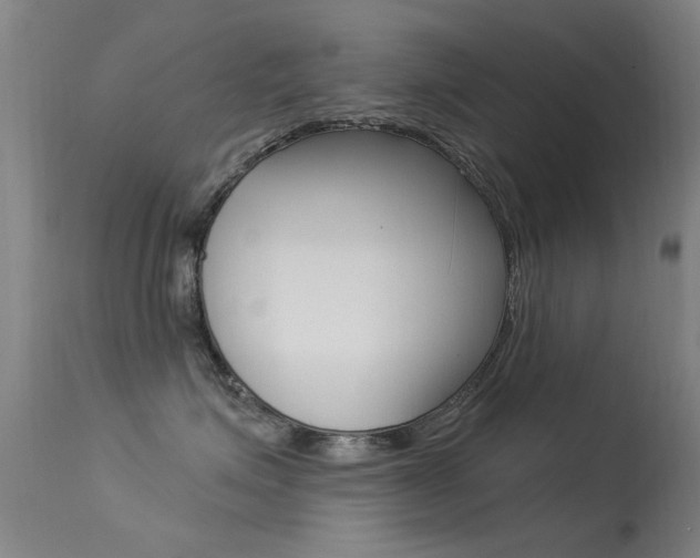 X0000113530623200909181001