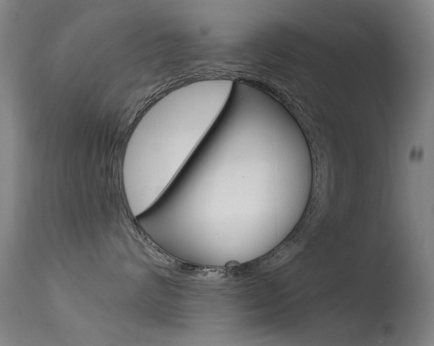 X0000113530624200909181001