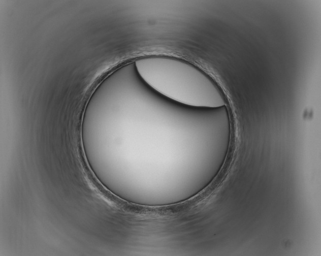 X0000113530625200909181000