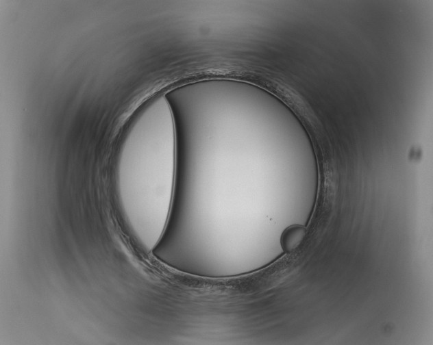 X0000113530626200909181001