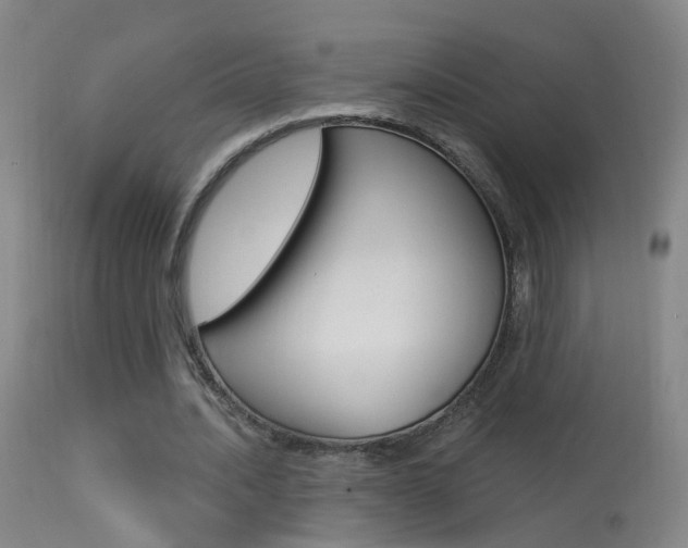 X0000113530628200909181001