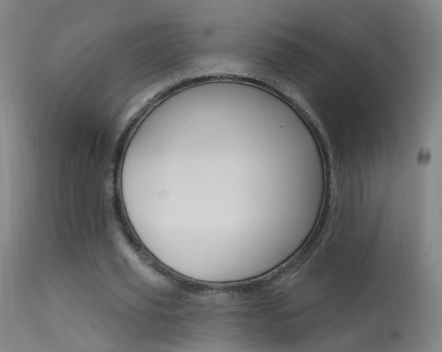 X0000113530629200909181001
