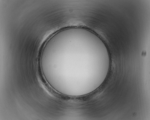 X0000113530630200909181001