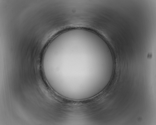 X0000113530631200909181001