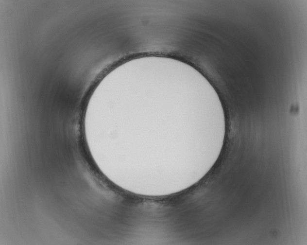 X0000113530632200909181001