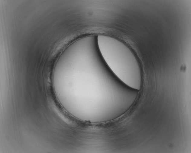 X0000113530633200909181001