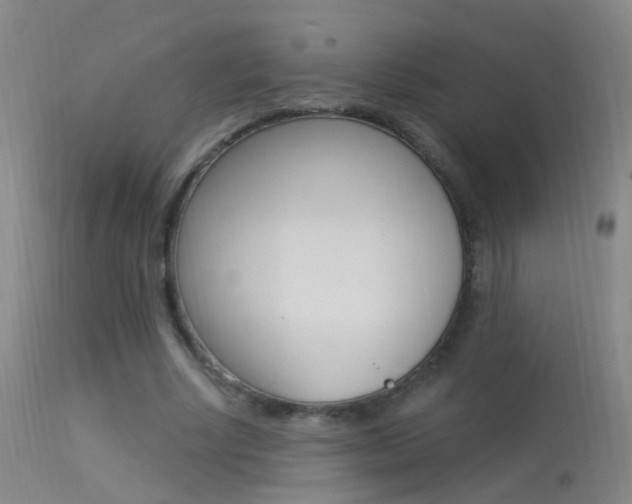 X0000113530634200909181001