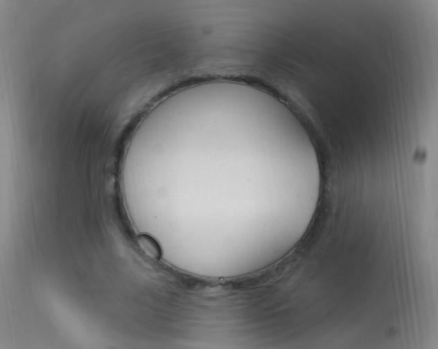 X0000113530635200909181001