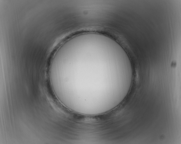 X0000113530636200909181001