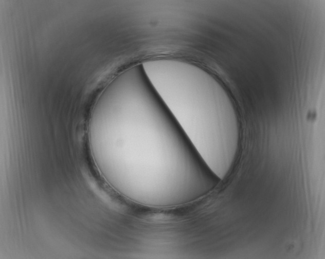 X0000113530637200909181001