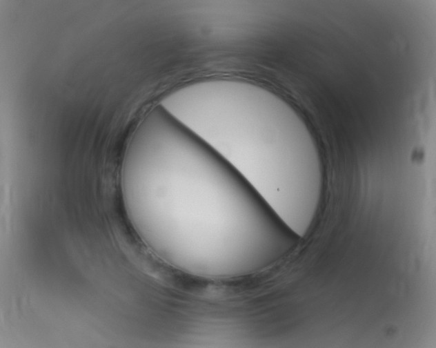 X0000113530641200909181001