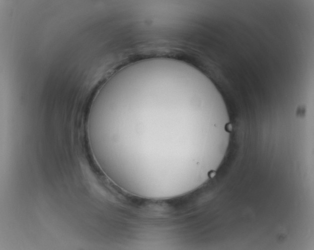 X0000113530642200909181001