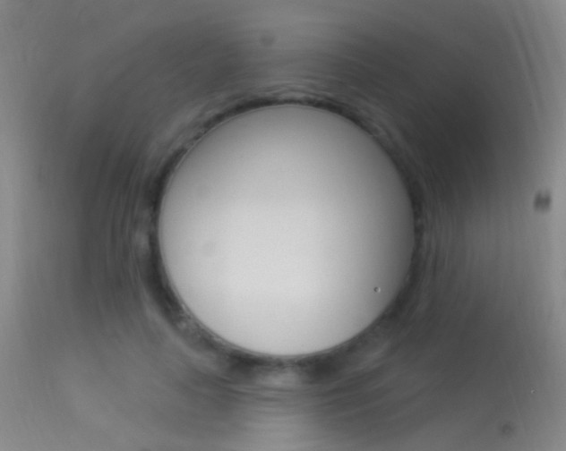 X0000113530643200909181001