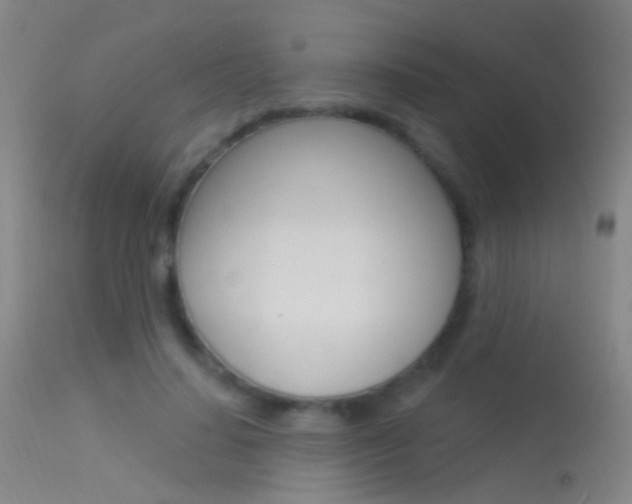 X0000113530644200909181001
