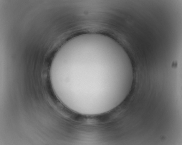 X0000113530645200909181001