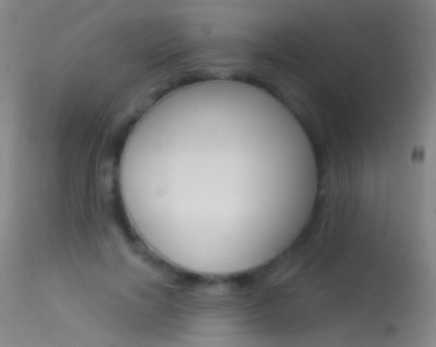 X0000113530646200909181001