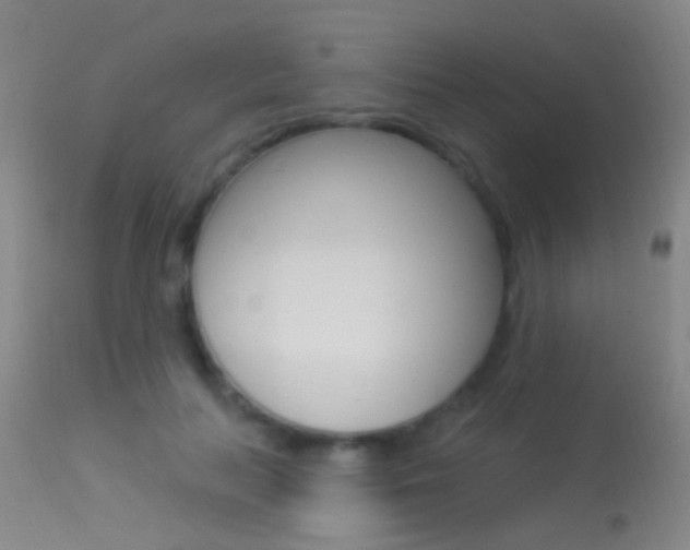 X0000113530647200909181001