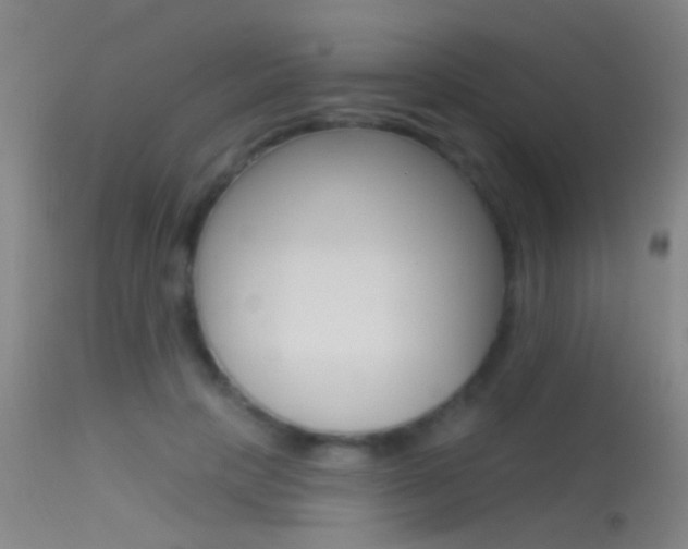 X0000113530649200909181001