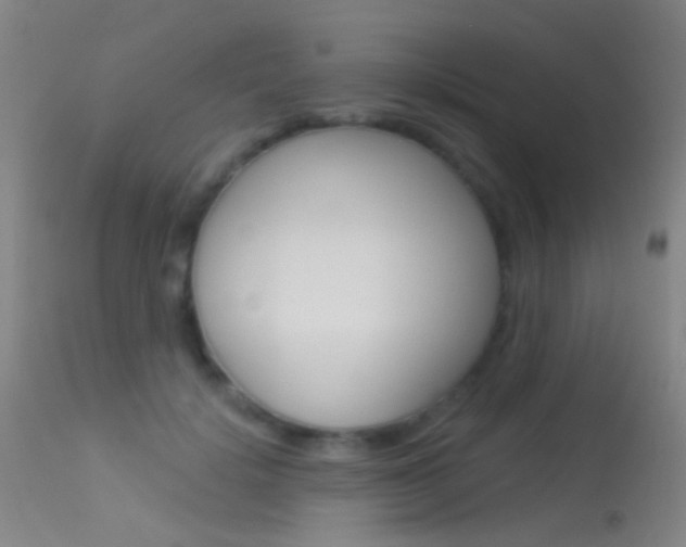X0000113530652200909181001