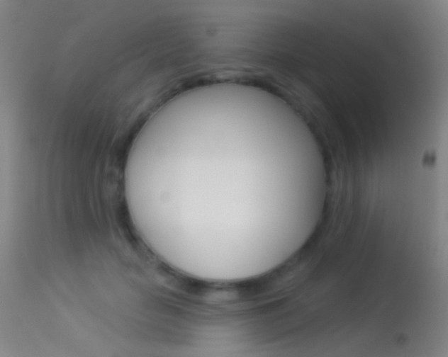 X0000113530653200909181001