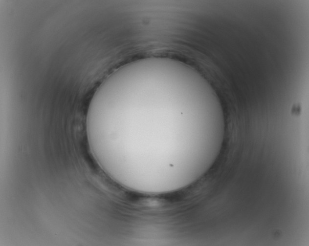 X0000113530654200909181001