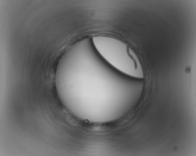 X0000113530657200909181001