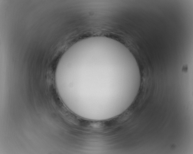 X0000113530659200909181001