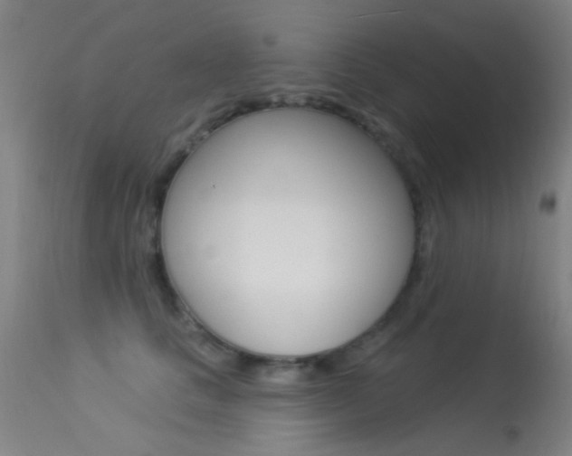 X0000113530661200909181001