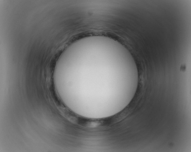 X0000113530662200909181001