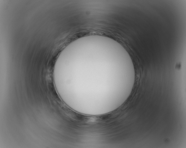 X0000113530663200909181001