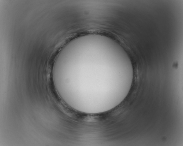 X0000113530664200909181001