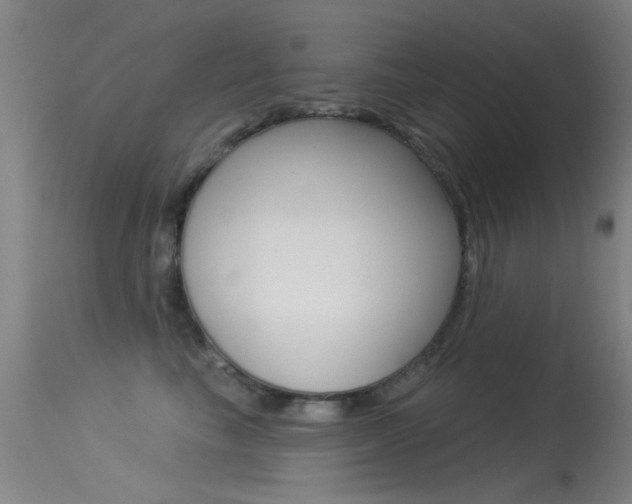 X0000113530665200909181001