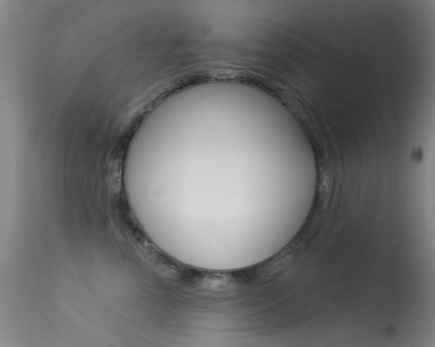 X0000113530666200909181001