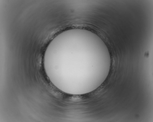 X0000113530668200909181001