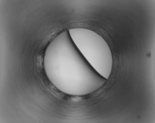X0000113530669200909181001