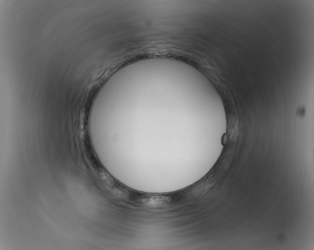 X0000113530670200909181001