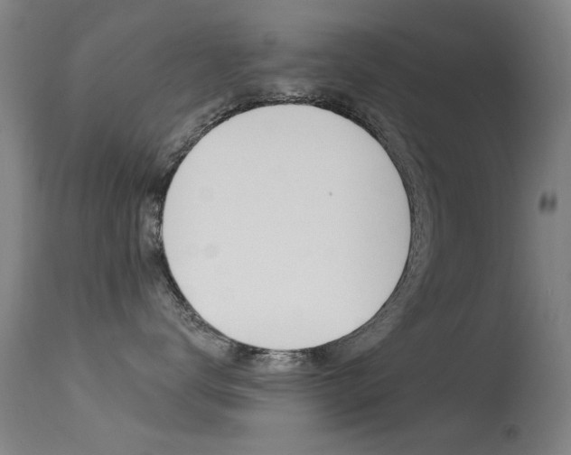 X0000113530672200909181001
