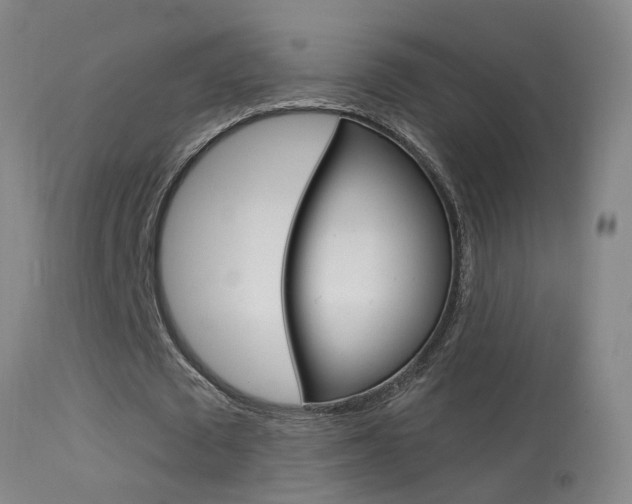 X0000113530673200909181000