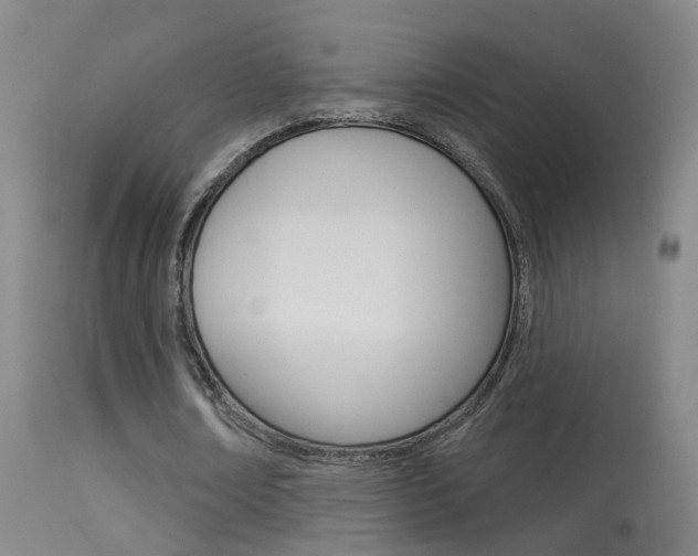 X0000113530674200909181000