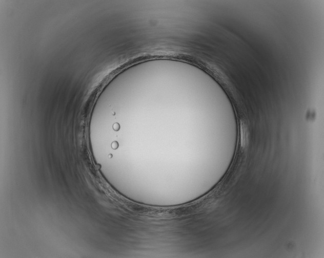 X0000113530675200909181000
