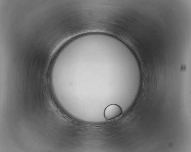 X0000113530676200909181000