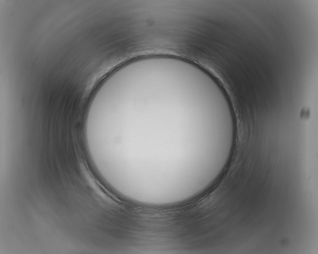 X0000113530677200909181000