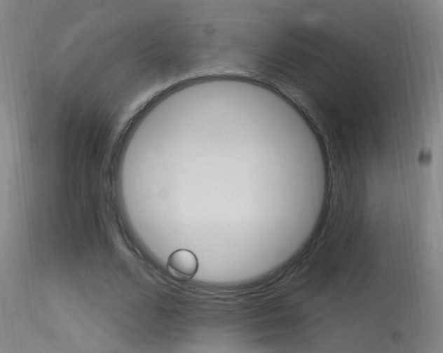 X0000113530680200909181000