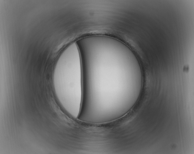 X0000113530681200909181000