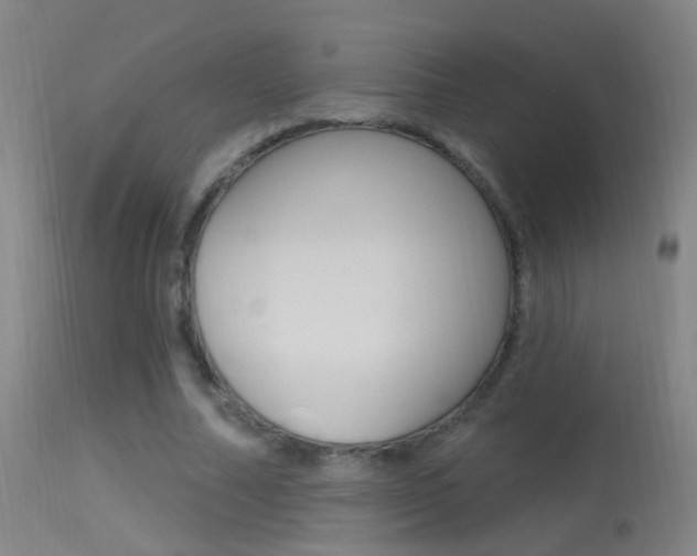 X0000113530682200909181000
