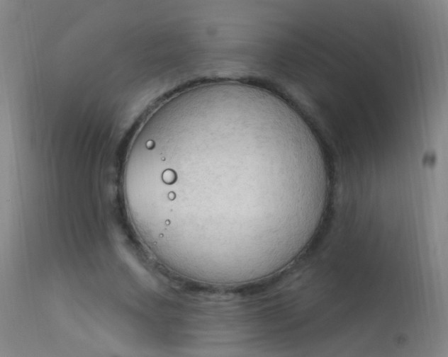 X0000113530683200909181000
